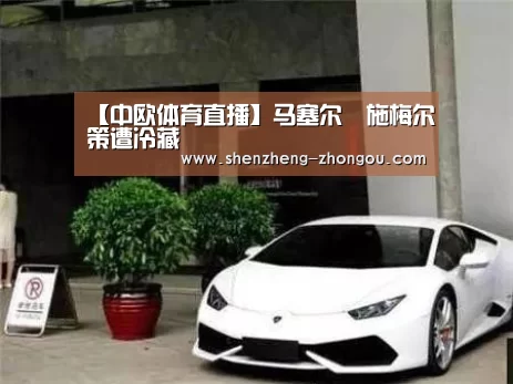 【中欧体育直播】马塞尔•施梅尔策遭冷藏