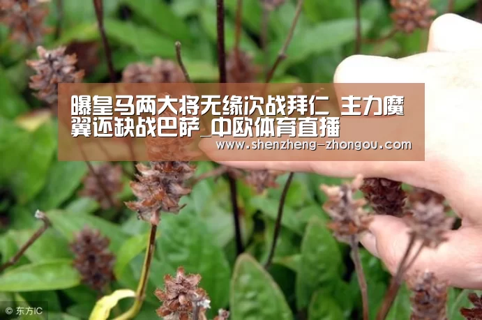 曝皇马两大将无缘次战拜仁 主力魔翼还缺战巴萨_中欧体育直播(图1) 中欧体育官网
